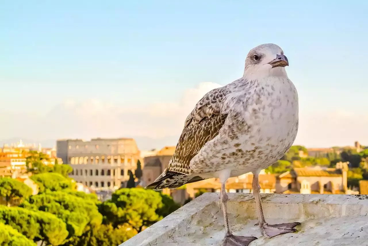 Europe's most Visited landmark - The Colosseum